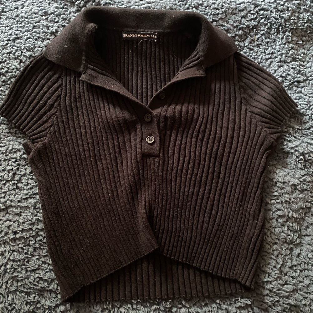 Brandy Melville Crop Top